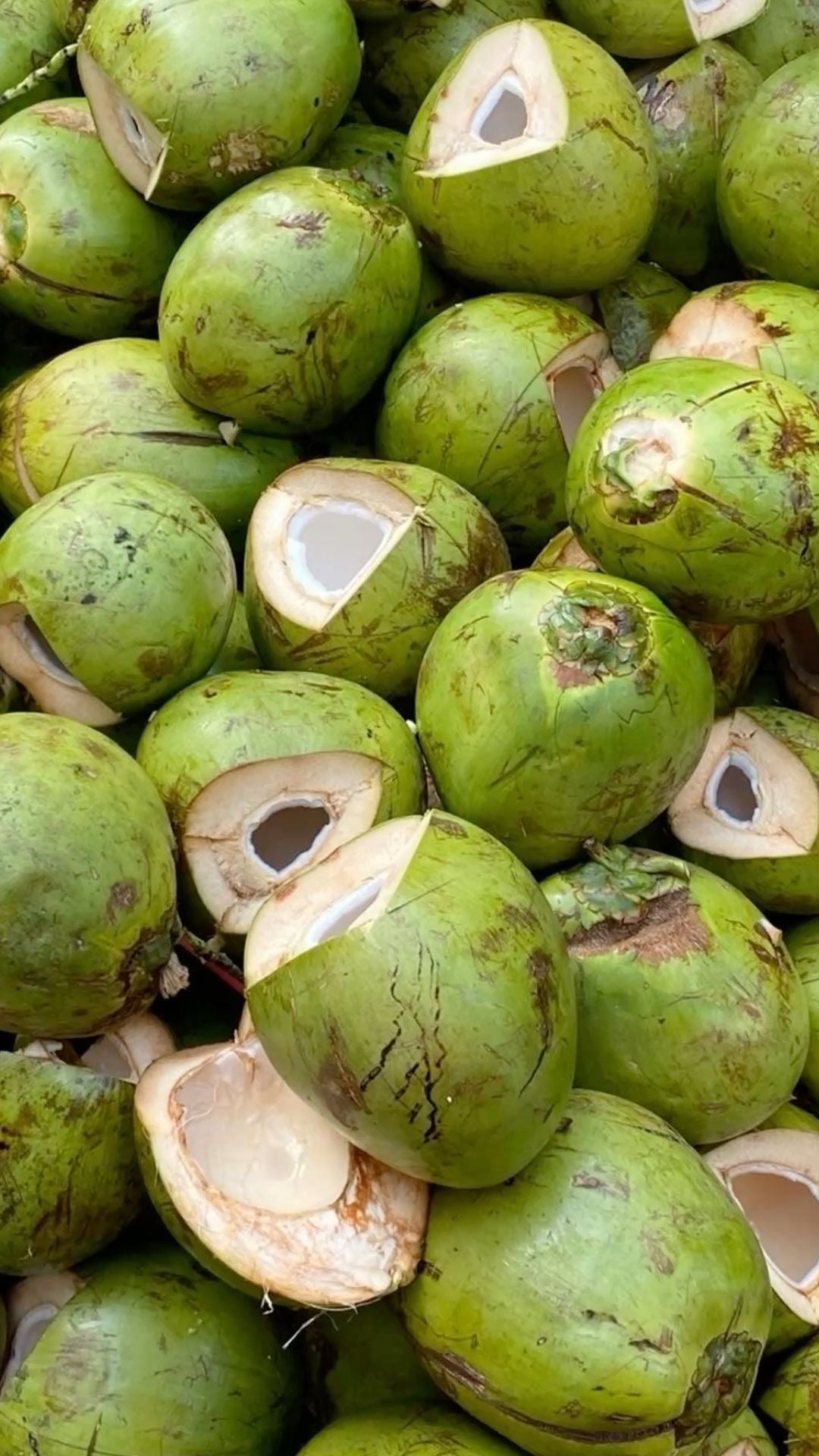 5x Coconut Water Electrolytes